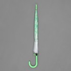 Зонт - трость полуавтоматический «Цветы», 8 спиц, R = 40 см, цвет зелёный - Фото 5