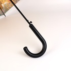 Зонт - трость полуавтоматический "Поцелуй", 8 спиц, R = 52 см, цвет бежевый - фото 24546084