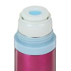 Термос «Велосипед и храм» с выдвижной петлёй, 500 мл, 10 ч, микс - Фото 3