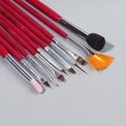 Набор кистей для наращивания и дизайна ногтей, 10 шт, 18,5 см, цвет розовый - Фото 2