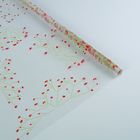 Пленка для цветов "Гипсофила" 700 мм х 6 м, 40 мкм, салатово-красная - Фото 1