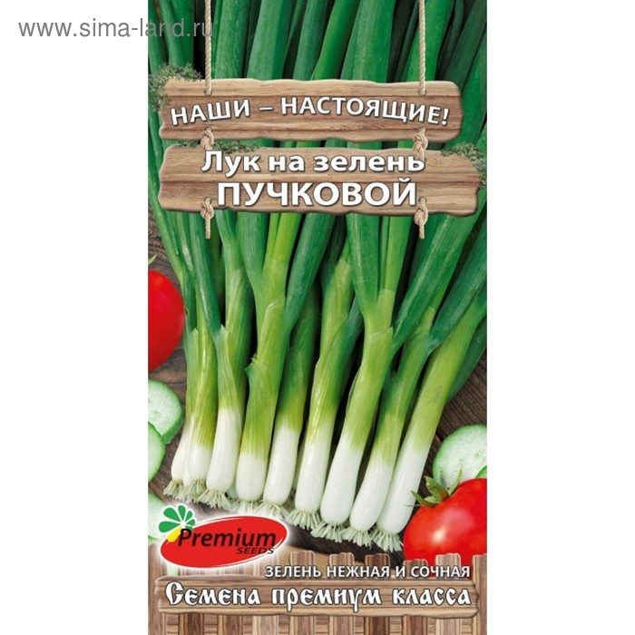Семена Лук на зелень Пучковый, 1гр - Фото 1