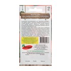 Семена Морковь бессердцевинная Королева, 2гр - Фото 2