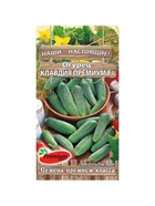 Семена Огурец «Клавдия Премиум», F1, партенокарпический, 10 шт. - Фото 5