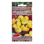 Семена Патиссон корнишон «Копейка», 7 шт., Premium seeds - Фото 5