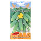 Семена Огурец Мал-Мала-Меньше F1, партенокарпический, 10 шт. - Фото 3
