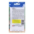 Семена Огурец "Первачок", F1, 10 шт - Фото 2