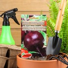 Семена Свёкла столовая Пиковая дама F1, 1гр - Фото 1