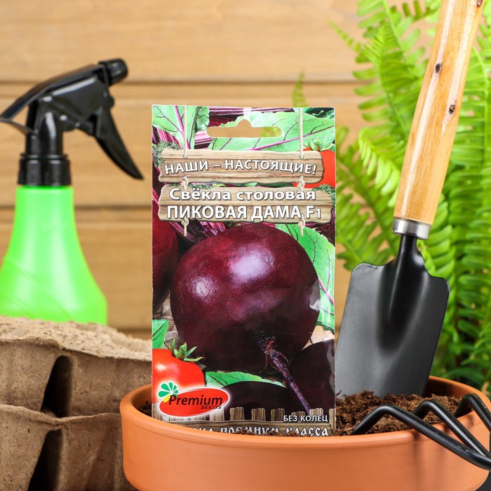 Семена Свёкла столовая Пиковая дама F1, 1гр - Фото 1