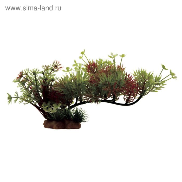 Композиция из искусств. растений на ветке "Роголистник", 23x10x12 см - Фото 1