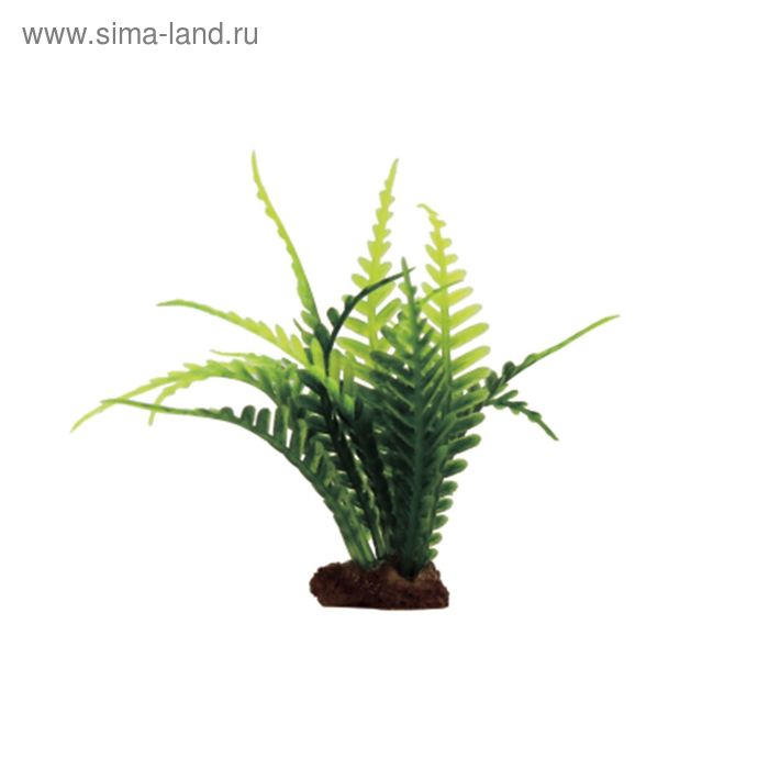 Набор искусств. раст. ArtUniq Fern Set 6x10 - Папоротник, 10 см, 6 шт - Фото 1