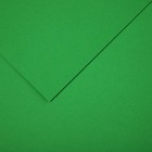 Бумага цветная CANSON Iris Vivaldi, 21 х 29.7 см, 1 лист, №29 Зеленый яркий, 240 г/м2 - фото 8527695