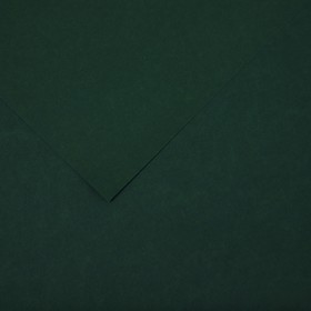 Бумага цветная CANSON Iris Vivaldi, 21 х 29.7 см, 1 лист, №31 Зеленый еловый, 240 г/м2