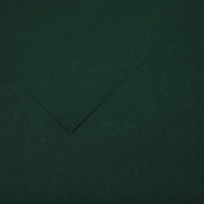 Бумага цветная CANSON Iris Vivaldi, 21 х 29.7 см, 1 лист, №31 Зеленый еловый, 240 г/м2 - Фото 1