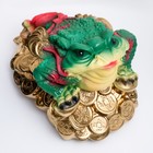 Фигура "Лягушка на монетах" цветная большая 34х25см - Фото 4