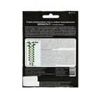 Семена огурца "Верность", F1, 7 шт. - Фото 2