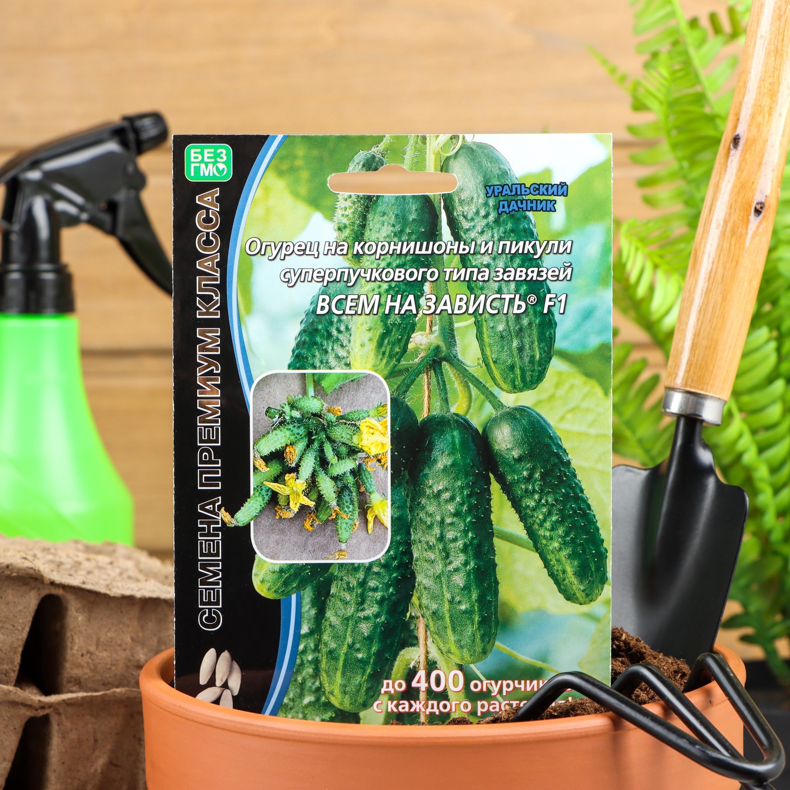 Огурец Всем на зависть F1 - лучший сорт для теплицы и открытого грунта - отзывы, подробное описание и красочные фотографии Огурец Всем на зависть F1: отзывы, описание сорта, фото