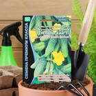 Семена огурца «Генеральский F1», 5 шт. - Фото 3