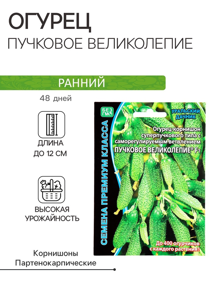 Семена огурец «Пучковое великолепие F1», скороспелый, пучковый, партенокарпический, 5 шт. - Фото 1