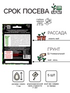 Семена огурец «Пучковое великолепие F1», скороспелый, пучковый, партенокарпический, 5 шт. - Фото 2