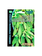 Семена огурец «Пучковое великолепие F1», скороспелый, пучковый, партенокарпический, 5 шт. - Фото 5