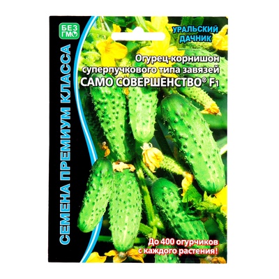 Семена огурец «Само совершенство F1» супербукетный тип, партенокарпический, 5 шт.