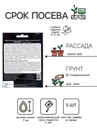 Семена Огурец "Таганай" F1 ультраранний, партенокарпический, для открытого грунта, 5 шт - Фото 2