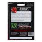 Семена томат «Марьина Роща F1», раннеспелый, крупноплодный, кистевого типа, индетерминантный - Фото 2