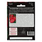 Семена томат «Третьяковский F1», среднеплодный, среднеранний, высокорослый, 10 шт. - Фото 4