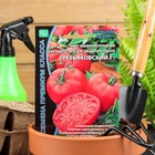 Семена томат «Третьяковский F1», среднеплодный, среднеранний, высокорослый, 10 шт. - Фото 1