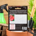 Семена томат «Третьяковский F1», среднеплодный, среднеранний, высокорослый, 10 шт. - Фото 2