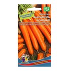 Семена Морковь "Карамель" среднеспелая, цилиндрическая, ярко-оранжевая, 1 г - Фото 2