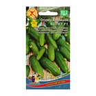 Семена Огурец "Колет" F1 ранний, партенокарпический гибрид голландской селекции, 8 шт - Фото 1