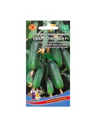 Семена огурец «Обхрустишься F1», раннеспелый, партенокарпический, 10 шт. - Фото 5