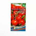 Семена Томат «Непасынкующийся», скороспелый, детерминантный, низкорослый, 20 шт., «Уральский дачник» - Фото 7