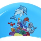 Горшок детский антискользящий «Бэйби-Комфорт» с крышкой, съёмная чаша, цвет голубой, синий - Фото 12