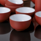Набор для чайной церемонии керамический «Красная глина», 23 предмета - Фото 4