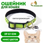 Ошейник светоотражающий «Следы лапок», 29×1 см, микс цветов - Фото 1