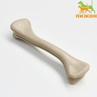 Косточка пластиковая для собак, размер М (15 см) - Фото 1