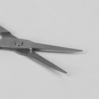 Ножницы маникюрные, для кутикулы, загнутые, узкие, 9 см, на блистере, цвет серебристый - Фото 2