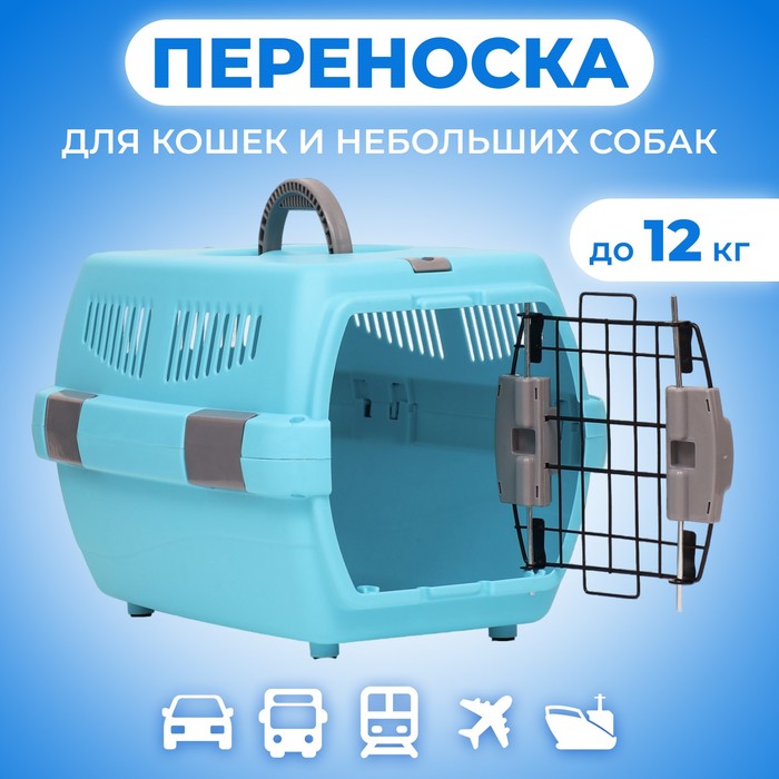 Переноска пластиковая «Неон» 48×32×29.5 см, вес животного до 12 кг, голубая - Фото 1