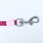 Рулетка с системой эффективного скручивания поводка, 5 м, до 20 кг, розово-бордовая - Фото 8