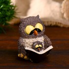 Сувенир полистоун "Совушки сказки на ночь" 7х10х8,5 см - Фото 1