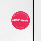 Набор для вина Доляна, 5 предметов: штопор, аэратор, пробка, термометр, резец для фольги - Фото 20