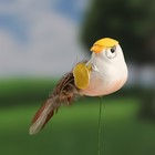Штекер "Птичка Невеличка" 3х5см, длина 9см - Фото 8