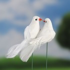 Штекер "Пара голубей", 5х4х11см - Фото 1