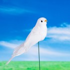 Штекер "Птичка голубь" 3х5см, длина 15см - Фото 2