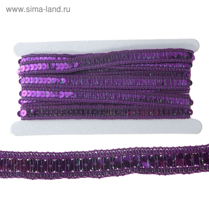 Тесьма декоративная для творчества "Фиолетовая с пайетками" намотка 3 м - Фото 1