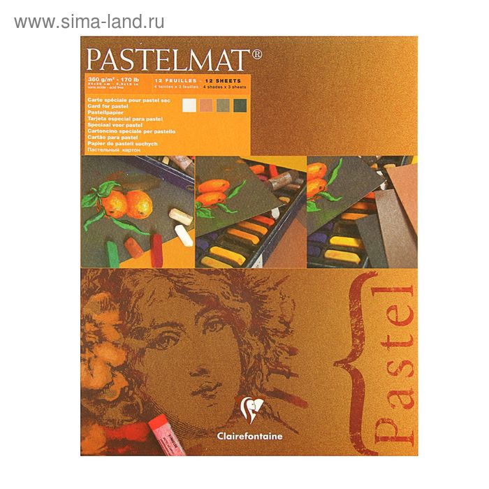 Альбом для пастели В4 240*300 мм Clairefontaine Pastelmat 12 листов склейка 360 г/м2, 4цв 96007С - Фото 1