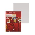 Альбом для пастели В4 240*300 мм Clairefontaine Pastelmat 12 листов склейка 360 г/м2, 4цв 96017С - Фото 1